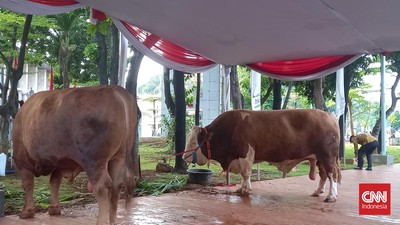 Limousin 
